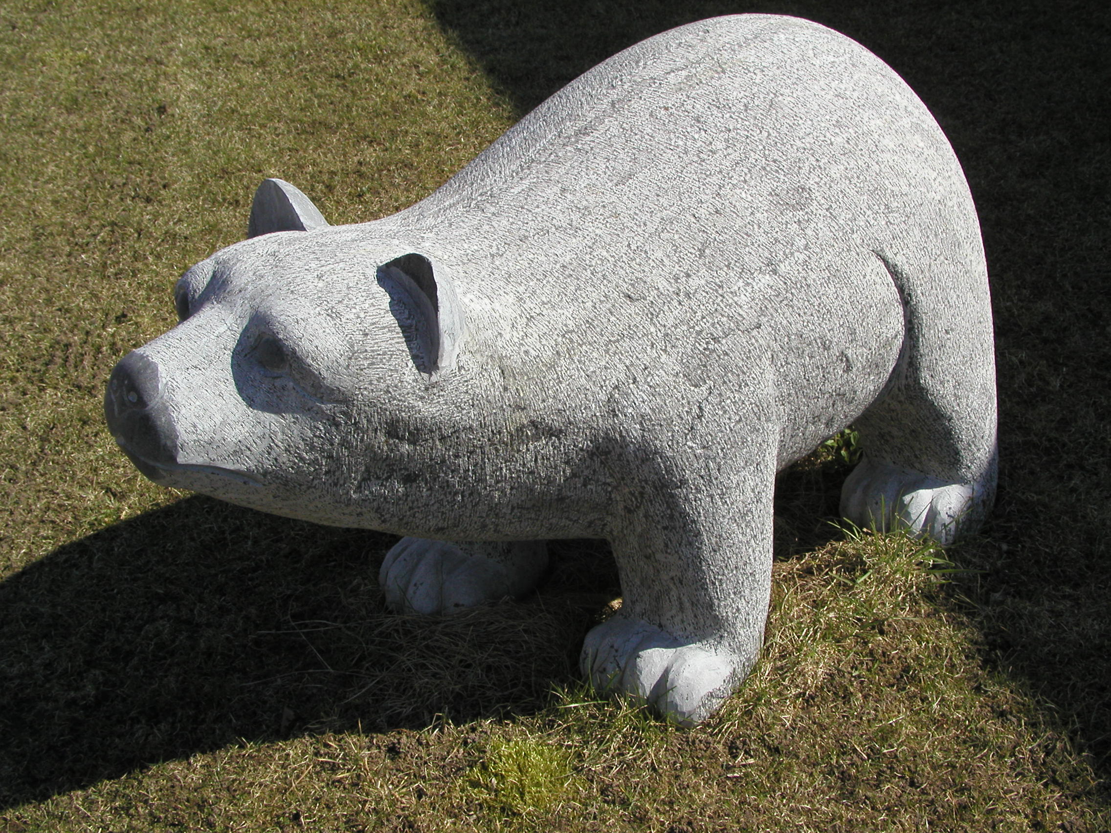 Bär
